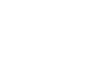 LinguaMed